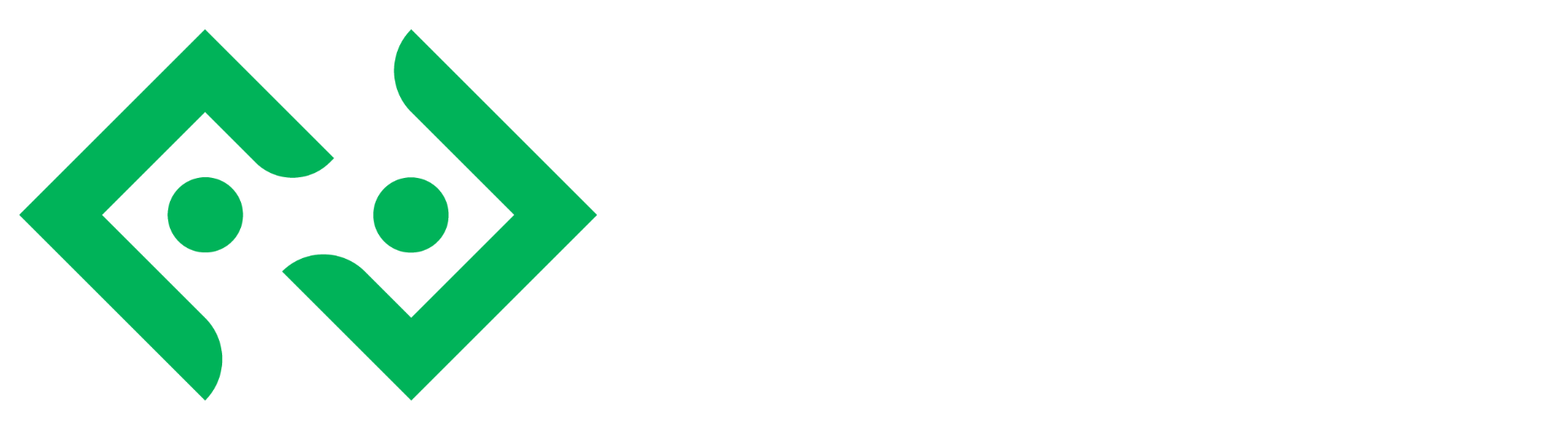 Bitkub logo