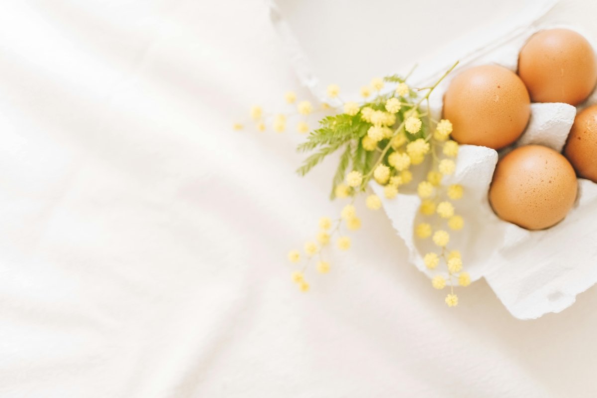 IgG Food Sensitivity Test Bangkok – 222 Food Allergens - Healthi - Life Longevity Center
