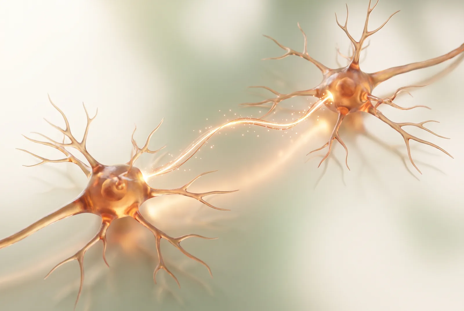 Two neurons connected by a thread of glowing light on cream background