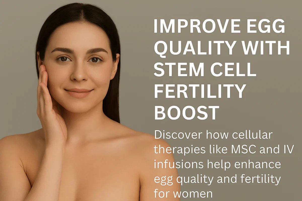 細胞治療で卵子の質を自然に高める - ヘルシライフ長寿センター